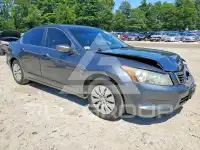 2010 Honda Accord photo