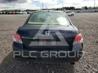 2010 Honda Accord photo