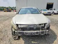 2010 Honda Accord photo