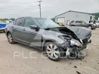 2010 Honda Accord photo