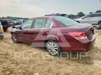 2010 Honda Accord photo