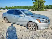 2010 Honda Accord photo