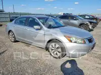 2010 Honda Accord фото