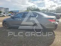 2010 Honda Accord фото