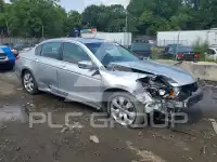 2010 Honda Accord фото