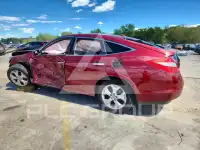 2010 Honda Accord photo