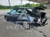 2010 Honda Accord photo