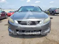 2010 Honda Accord photo