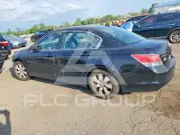 2010 Honda Accord photo