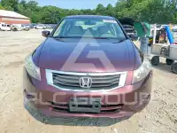 2010 Honda Accord фото