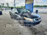 2010 Honda Accord photo