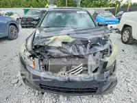 2010 Honda Accord photo