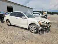 2010 Honda Accord photo