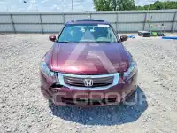2010 Honda Accord фото