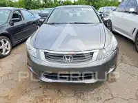2010 Honda Accord фото