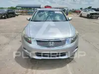 2010 Honda Accord фото
