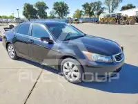 2010 Honda Accord photo