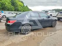 2010 Honda Accord фото