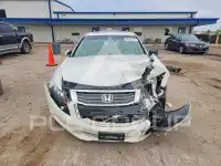2010 Honda Accord photo