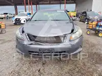 2010 Honda Accord фото