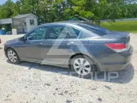 2010 Honda Accord photo