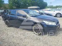 2010 Honda Accord фото