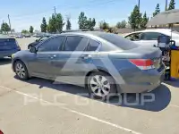 2010 Honda Accord photo