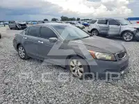 2010 Honda Accord фото