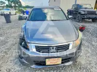 2010 Honda Accord photo
