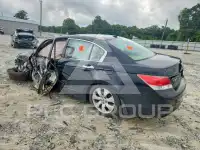 2010 Honda Accord photo