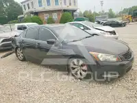 2010 Honda Accord photo