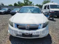 2010 Honda Accord фото