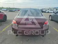 2010 Honda Accord фото