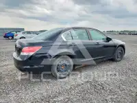 2010 Honda Accord фото