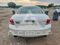 2010 Honda Accord photo