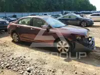 2010 Honda Accord фото