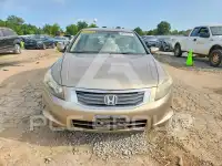 2010 Honda Accord фото