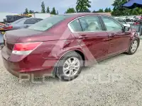 2010 Honda Accord фото