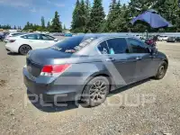 2010 Honda Accord фото