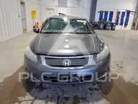 2010 Honda Accord фото