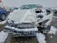 2010 Honda Accord фото