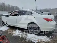 2010 Honda Accord фото