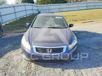2010 Honda Accord photo