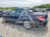 2010 Honda Accord фото