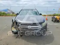 2010 Honda Accord фото