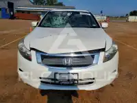 2010 Honda Accord фото