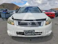 2010 Honda Accord фото