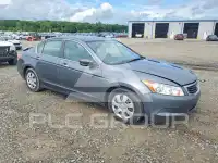 2010 Honda Accord фото