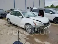 2010 Honda Accord фото