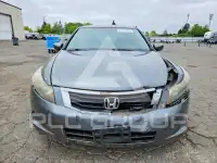 2010 Honda Accord фото